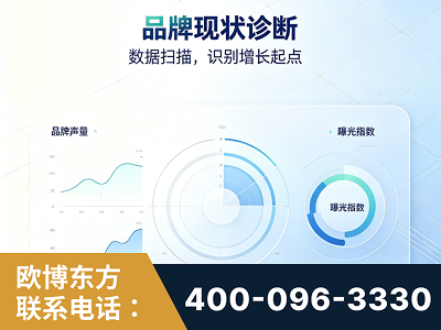 铁力-品牌现状诊断