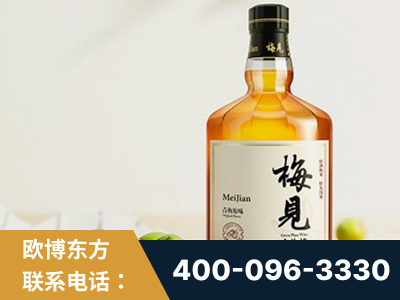 铁力-梅见青梅酒